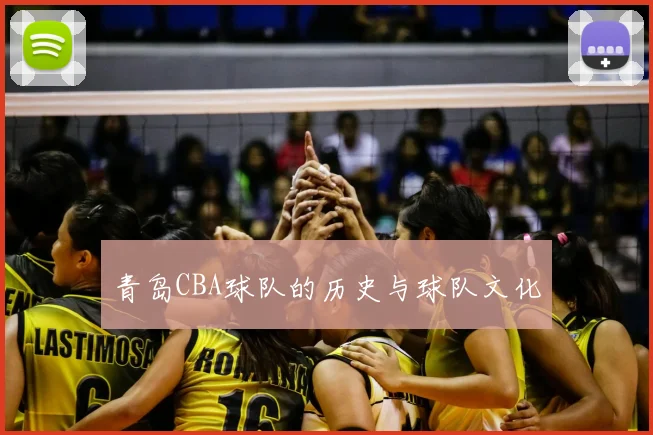 青岛CBA球队的历史与球队文化
