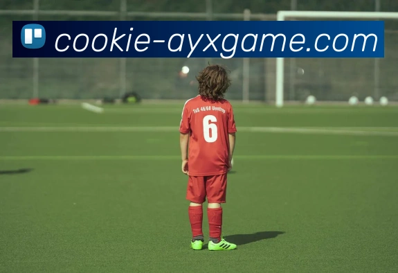 爱游戏APP 体育赛事宣传图